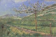 Ferdinand Hodler Apple tree in Blossom oil painting artist
